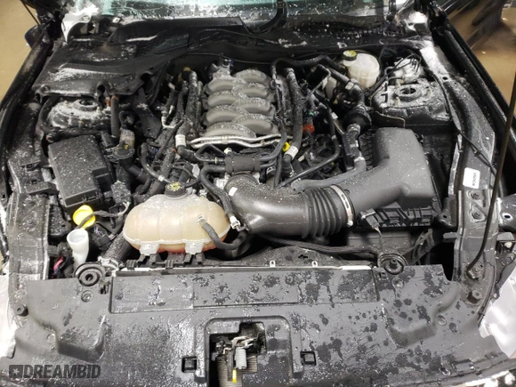 2019 Ford Mustang GT with VIN 1FA6P8CF9K5135607, listed as a Copart auction lot 41881515 with 31,538 mi miles and Salvage Title. Bid and sale history available at carsss.com. Image 11.