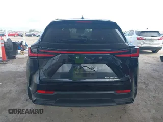 2022 Lexus NX 350h with VIN 2T2AKCEZ4NC001703, listed as a IAAI auction lot 42421091 with 34,055 mi miles and . Bid and sale history available at DreamBid. Image 17.