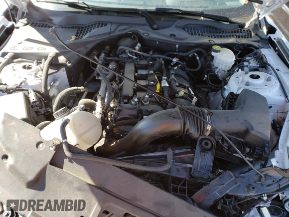 2021 Ford Mustang EcoBoost with VIN 1FA6P8TH0M5102256, listed as a Copart auction lot 44782253 with 20,604 mi miles and . Bid and sale history available at DreamBid. Image 12.