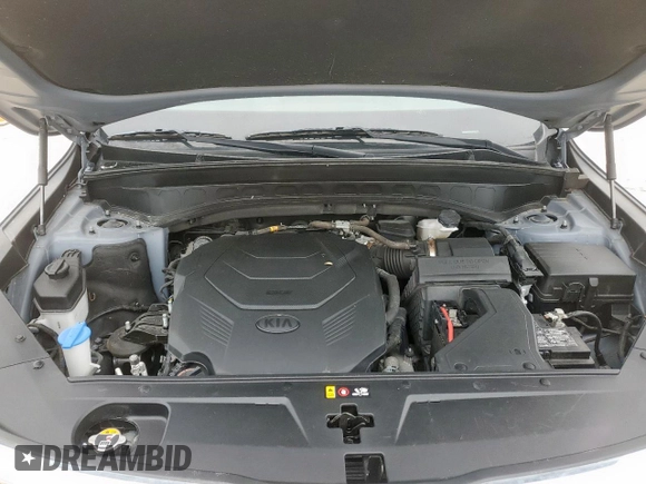 2021 Kia Telluride LX with VIN 5XYP2DHC6MG184925, listed as a Copart auction lot 65449725 with 49,193 mi miles and Clean title. Bid and sale history available at DreamBid. Image 12.