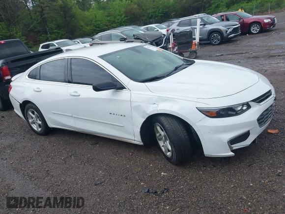 2017 Chevrolet Malibu LS with VIN 1G1ZB5ST2HF135830, listed as a IAAI auction lot 41891267 with 116,097 mi miles and . Bid and sale history available at DreamBid. Image 13.