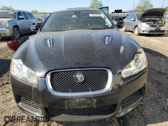 2011 Jaguar XF with VIN SAJWA0JC8BMR98847, listed as a Copart auction lot 80508564 with Not Provided miles and Clean Title. Bid and sale history available at DreamBid. Image 5.
