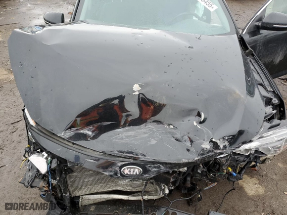2014 Kia Optima Hybrid LX with VIN KNAGM4AD4E5066425, listed as a Copart auction lot 46513455 with 0 mi miles and Clean Title. Bid and sale history available at carsss.com. Image 12.
