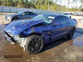 2013 Ford Mustang GT with VIN 1ZVBP8CF9D5269882, listed as a Copart auction lot 45360035 with 0 mi miles and Salvage Title. Bid and sale history available at carsss.com. Image 1.