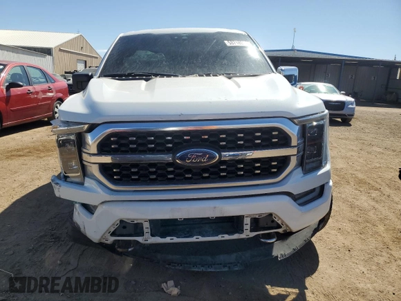 2021 Ford F-150 XL with VIN 1FTMF1CP2MKE07164, listed as a Copart auction lot 53718025 with 66,404 mi miles and Salvage title. Bid and sale history available at DreamBid. Image 5.