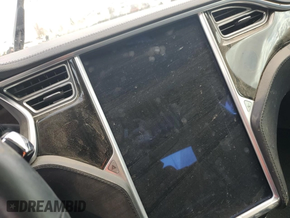 2013 Tesla Model S with VIN 5YJSA1CN9DFP19743, listed as a Copart auction lot 49555255 with 0 mi miles and Salvage Title. Bid and sale history available at carsss.com. Image 9.