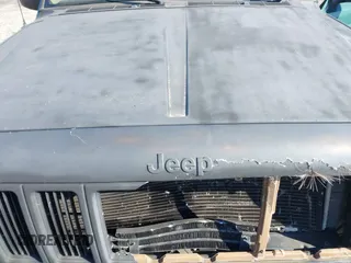 2001 Jeep Cherokee Sport with VIN 1J4FF58S41L619254, listed as a IAAI auction lot 41596384 with 180,826 mi miles and . Bid and sale history available at DreamBid. Image 10.