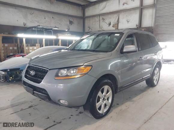 2008 Hyundai Santa Fe SE with VIN 5NMSH13E38H150887, listed as a IAAI auction lot 41762035 with 216,508 mi miles. Bid and sale history available at carsss.com. Image 2.