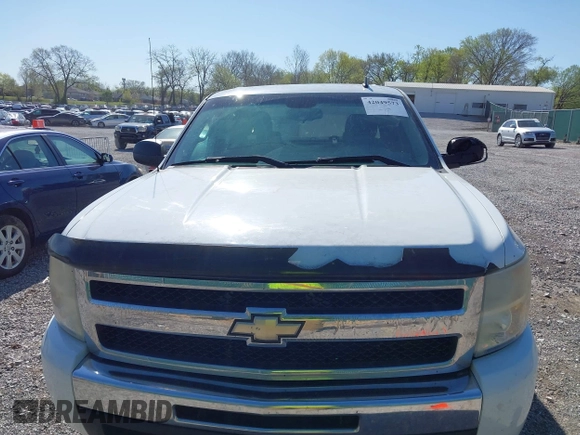 2009 Chevrolet Silverado 1500 LS with VIN 3GCEC13CX9G256034, listed as a IAAI auction lot 42049573 with 223,057 mi miles. Bid and sale history available at carsss.com. Image 6.