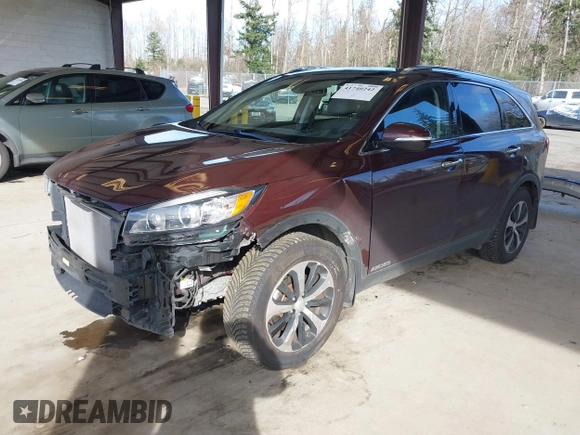 2017 Kia Sorento EX with VIN 5XYPHDA57HG312220, listed as a IAAI auction lot 41740242 with 98,529 mi miles and . Bid and sale history available at DreamBid. Image 18.