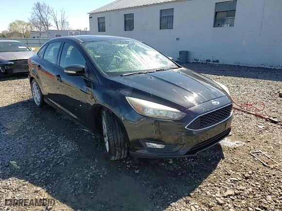 2015 Ford Focus SE with VIN 1FADP3F21FL200504, listed as a Copart auction lot 49289055 with NaN miles and Salvage Title. Bid and sale history available at carsss.com. Image 13.
