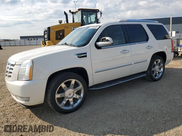 2009 Cadillac Escalade z VIN 1GYFK43559R235239, wystawiony jako Copart lot #59569495 z przebiegiem 142 969 mil mil oraz Czysty tytuł • Clean title. Historia ofert i sprzedaży dostępna na DreamBid. Obrazek 1.