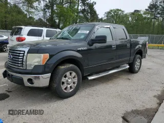 2010 Ford F-150 XL with VIN 1FTEW1C88AFC56624, listed as a Copart auction lot 50648135 with 228,961 mi miles and Salvage Title. Bid and sale history available at carsss.com. Image 1.