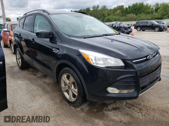 2014 Ford Escape SE with VIN 1FMCU9G99EUE48159, listed as a Copart auction lot 66864794 with 175,990 mi miles and Salvage Title. Bid and sale history available at DreamBid. Image 4.