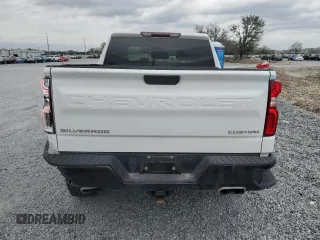 2022 Chevrolet Silverado 1500 Custom Trail Boss with VIN 1GCPYCEL0NZ140337, listed as a Copart auction lot 47146235 with 51,913 mi miles and Salvage Title. Bid and sale history available at DreamBid. Image 6.