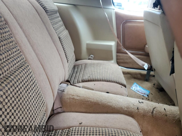 1981 Pontiac Firebird with VIN 1G2AT87S8BL140529, listed as a Copart auction lot 57791265 with Not provided miles and Salvage title. Bid and sale history available at DreamBid. Image 10.