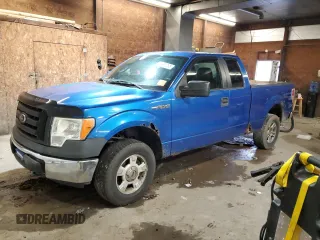2010 Ford F-150 XL with VIN 1FTEX1E88AFD02818, listed as a Copart auction lot 64390285 with Not provided miles and Clean title. Bid and sale history available at DreamBid. Image 1.
