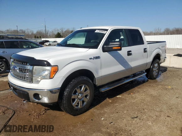 2013 Ford F-150 XL with VIN 1FTFW1EF0DFA71889, listed as a Copart auction lot 47989605 with 282,091 mi miles and Salvage Title. Bid and sale history available at carsss.com. Image 1.