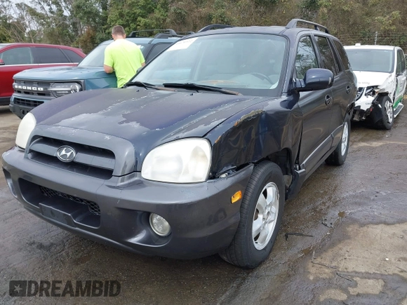 2005 Hyundai Santa Fe GLS with VIN KM8SC73D45U943575, listed as a IAAI auction lot 41676922 with 265,333 mi miles. Bid and sale history available at carsss.com. Image 17.