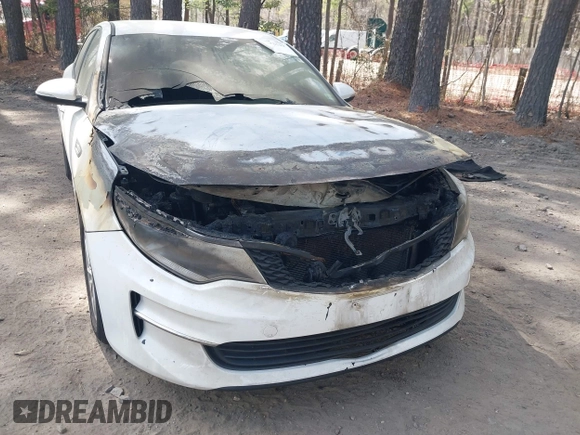 2016 Kia Optima LX with VIN KNAGT4L35G5088248, listed as a IAAI auction lot 41923519 with Not Provided miles. Bid and sale history available at carsss.com. Image 6.