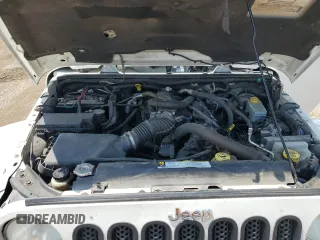 2010 Jeep Wrangler Sahara with VIN 1J4AA5D15AL167384, listed as a Copart auction lot 64210485 with 138,320 mi miles and Clean title. Bid and sale history available at DreamBid. Image 12.