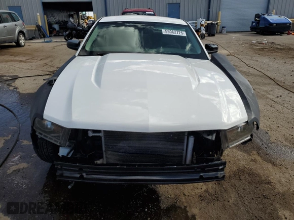 2010 Ford Mustang V6 with VIN 1ZVBP8AN8A5125021, listed as a Copart auction lot 55062725 with 163,880 mi miles and Salvage title. Bid and sale history available at DreamBid. Image 5.