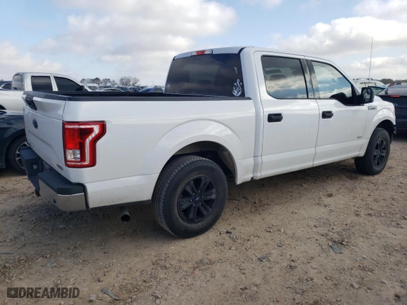 2017 Ford F-150 XL with VIN 1FTEW1CP7HKD07619, listed as a Copart auction lot 43382995 with 67,847 mi miles and Salvage Title. Bid and sale history available at carsss.com. Image 3.
