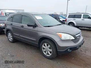 2009 Honda CR-V EX with VIN 5J6RE485X9L036252, listed as a IAAI auction lot 42017954 with 216,225 mi miles. Bid and sale history available at carsss.com. Image 1.