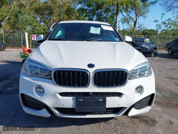 2018 BMW X6 xDrive35i with VIN 5UXKU2C5XJ0Z62290, listed as a IAAI auction lot 41687837 with 102,908 mi miles. Bid and sale history available at carsss.com. Image 13.