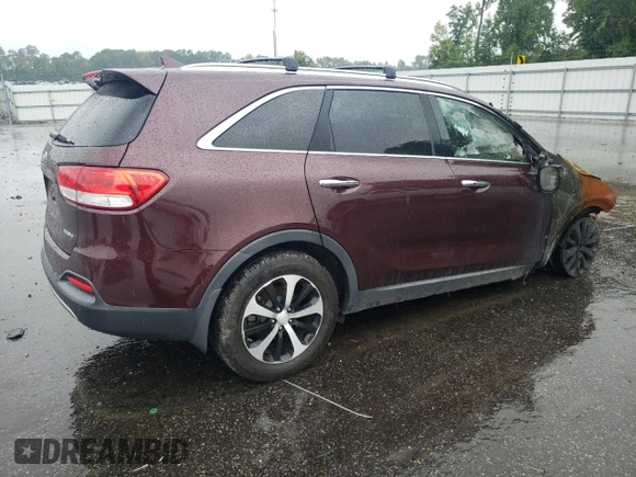 2016 Kia Sorento EX with VIN 5XYPH4A52GG123215, listed as a Copart auction lot 67654034 with Not Provided miles and Salvage Title. Bid and sale history available at DreamBid. Image 3.