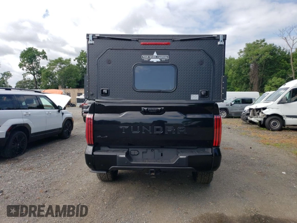 2023 Toyota Tundra Platinum with VIN 5TFNA5EC3PX017198, listed as a Copart auction lot 62857595 with 16,571 mi miles and Salvage title. Bid and sale history available at DreamBid. Image 6.