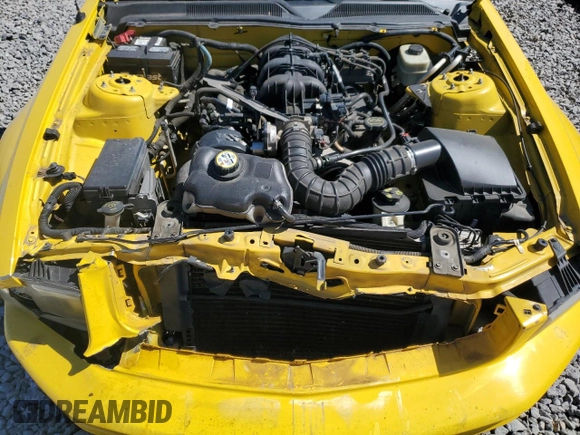 2005 Ford Mustang Deluxe with VIN 1ZVFT80N055243648, listed as a Copart auction lot 50080295 with 122,686 mi miles and Salvage Title. Bid and sale history available at carsss.com. Image 11.