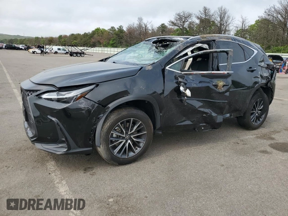 2024 Lexus NX 250 с VIN 2T2ADCEZ1RC004168, выставлен на аукционе Copart как лот 59965635 с пробегом 35 216 миль миль и Списание • Salvage title. История ставок и продаж доступна на DreamBid. Изображение 1.