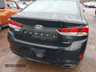 2018 Hyundai Sonata SEL with VIN 5NPE34AF0JH620018, listed as a IAAI auction lot 41391914 with 101,195 mi miles and . Bid and sale history available at DreamBid. Image 16.
