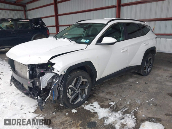 2024 Hyundai Tucson SEL with VIN 5NMJBCDE2RH424685, listed as a IAAI auction lot 41524218 with 10,481 mi miles and . Bid and sale history available at DreamBid. Image 18.
