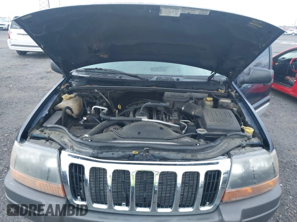 2000 Jeep Grand Cherokee Laredo with VIN 1J4G248S4YC144404, listed as a IAAI auction lot 42114635 with 181,854 mi miles and . Bid and sale history available at DreamBid. Image 10.