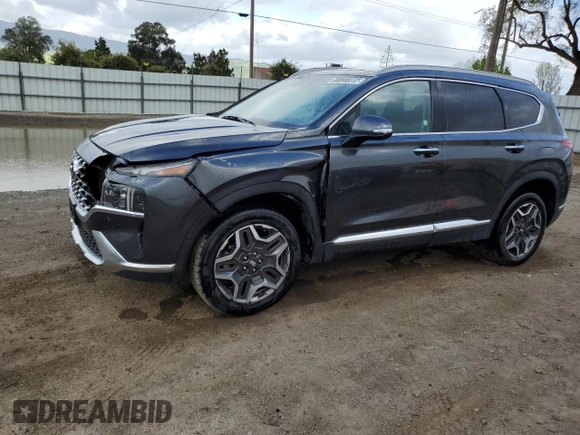 2023 Hyundai Santa Fe Limited with VIN 5NMS4DAL6PH516967, listed as a Copart auction lot 51137385 with 55,902 mi miles and Salvage Title. Bid and sale history available at carsss.com. Image 1.