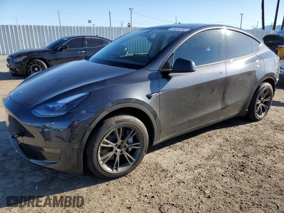2024 Tesla Model Y with VIN 7SAYGDED3RF151031, listed as a Copart auction lot 49494165 with 7,503 mi miles and Salvage Title. Bid and sale history available at DreamBid. Image 1.
