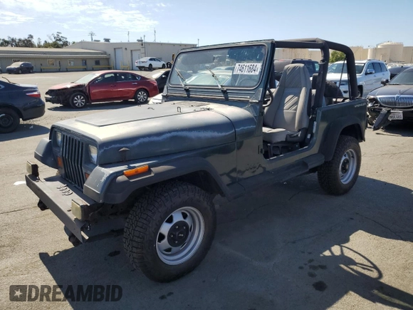 1994 Jeep Wrangler with VIN 1J4FY29S0RP422853, listed as a Copart auction lot 74611684 with 172,177 mi miles and Salvage Title. Bid and sale history available at carsss.com. Image 1.