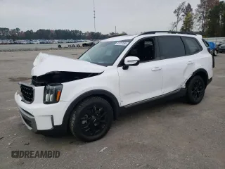 2023 Kia Telluride SX X-Line with VIN 5XYP5DGC9PG404586, listed as a Copart auction lot 81227294 with 22,581 mi miles and Salvage title. Bid and sale history available at DreamBid. Image 1.