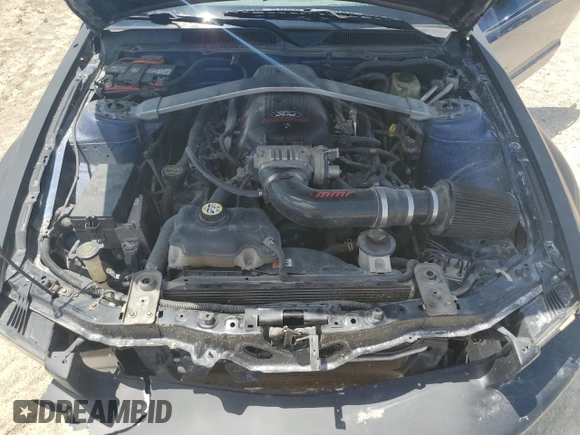 2006 Ford Mustang GT Deluxe with VIN 1ZVFT82H065200081, listed as a Copart auction lot 62425655 with 163,925 mi miles and Salvage title. Bid and sale history available at DreamBid. Image 11.