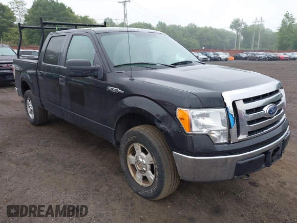 2010 Ford F-150 XL with VIN 1FTEW1E84AFA54957, listed as a IAAI auction lot 42456388 with 197,370 mi miles and . Bid and sale history available at DreamBid. Image 6.