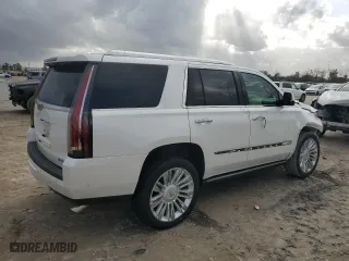 2018 Cadillac Escalade Platinum with VIN 1GYS4DKJXJR196594, listed as a Copart auction lot 84545204 with 102,462 mi miles and Salvage Title. Bid and sale history available at carsss.com. Image 3.