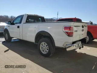 2013 Ford F-150 XL with VIN 1FTPF1CF5DKD70051, listed as a Copart auction lot 48748135 with 204,755 mi miles and Salvage title. Bid and sale history available at DreamBid. Image 2.