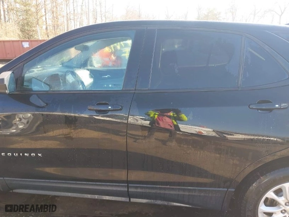 2019 Chevrolet Equinox LS with VIN 2GNAXSEV0K6227481, listed as a IAAI auction lot 41417172 with 92,258 mi miles. Bid and sale history available at carsss.com. Image 14.