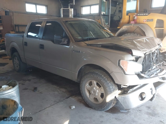 2013 Ford F-150 XL with VIN 1FTEW1CM8DKF66846, listed as a IAAI auction lot 41636606 with 129,161 mi miles. Bid and sale history available at carsss.com. Image 1.