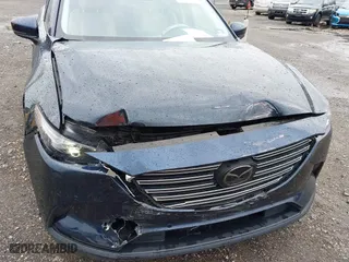 2019 Mazda CX-9 Touring with VIN JM3TCBCY4K0329506, listed as a IAAI auction lot 41800492 with 67,052 mi miles. Bid and sale history available at carsss.com. Image 6.