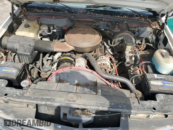1988 Chevrolet Silverado 1500 with VIN 1GCDK14K8JE202800, listed as a Copart auction lot 53239605 with 186,894 mi miles and Salvage Title. Bid and sale history available at DreamBid. Image 11.