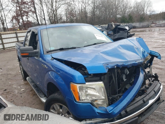 2011 Ford F-150 XL with VIN 1FTEX1CMXBFB29045, listed as a IAAI auction lot 41201456 with Not provided miles and . Bid and sale history available at DreamBid. Image 1.