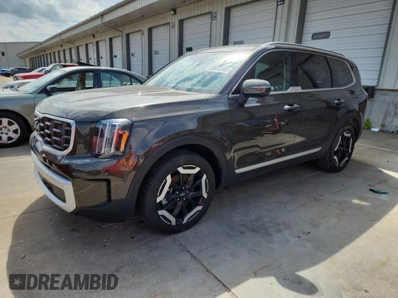 2025 Kia Telluride S with VIN 5XYP64GC7SG569834, listed as a Copart auction lot 60002555 with 13,096 mi miles and Non repairable. Bid and sale history available at DreamBid. Image 1.